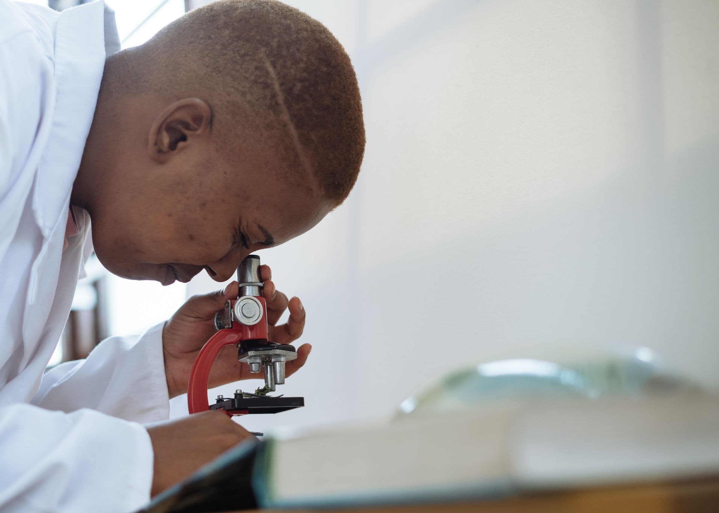 Laboratory scientist examining a sample